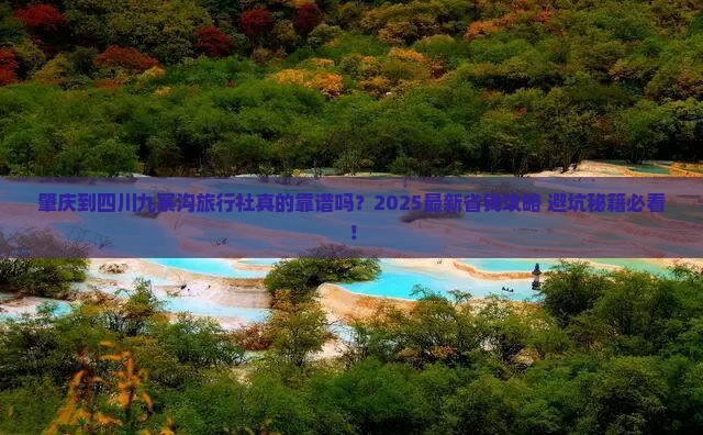 肇庆到四川九寨沟旅行社
