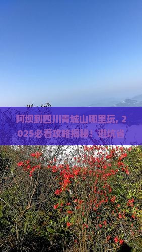 阿坝到四川青城山哪里玩