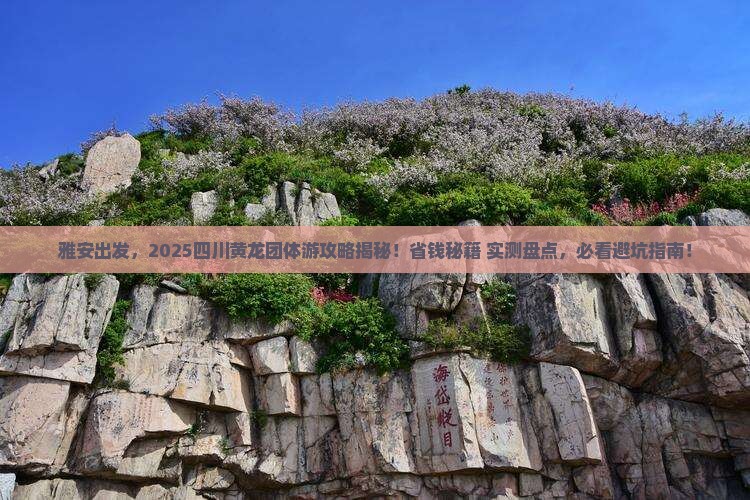 雅安去四川黄龙团体旅游