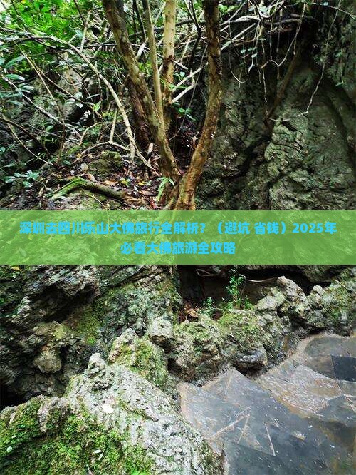 深圳去四川乐山大佛旅行社