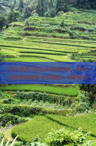 秋天去四川乐山大佛旅行社