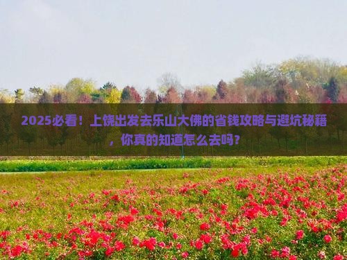上饶去四川乐山大佛攻略