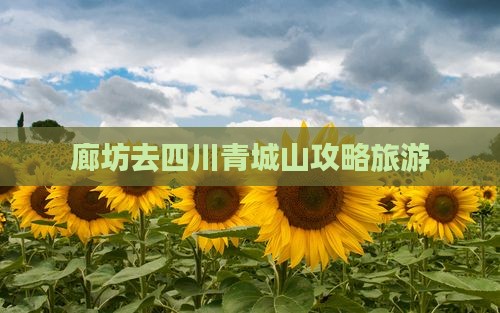 廊坊去四川青城山攻略 廊坊去四川青城山攻略
