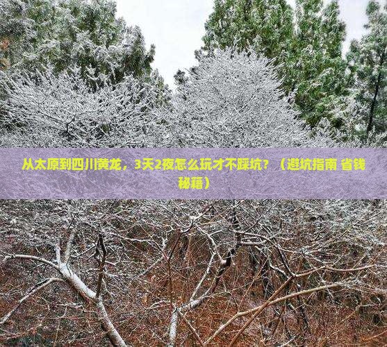 太原去四川黄龙个人游