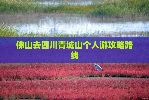 佛山去四川青城山个人游