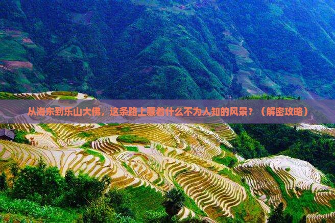 海东到四川乐山大佛必去地 海东到四川乐山大佛必去地