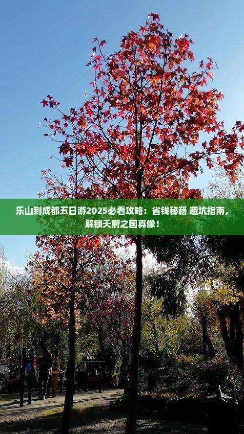 乐山到四川成都五日游
