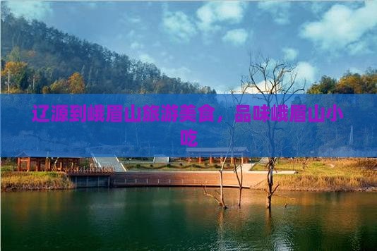 辽源到四川峨眉山旅游小吃