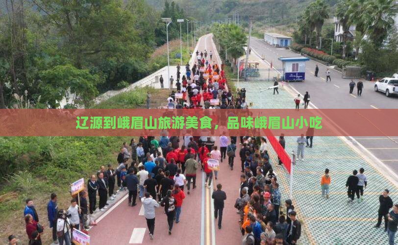 辽源到四川峨眉山旅游小吃