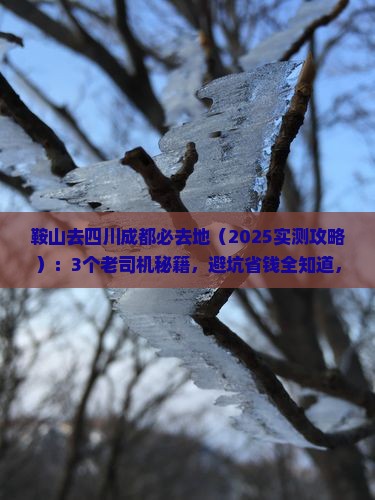 鞍山去四川成都必去地