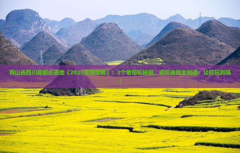 鞍山去四川成都必去地