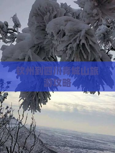 钦州去四川青城山景点