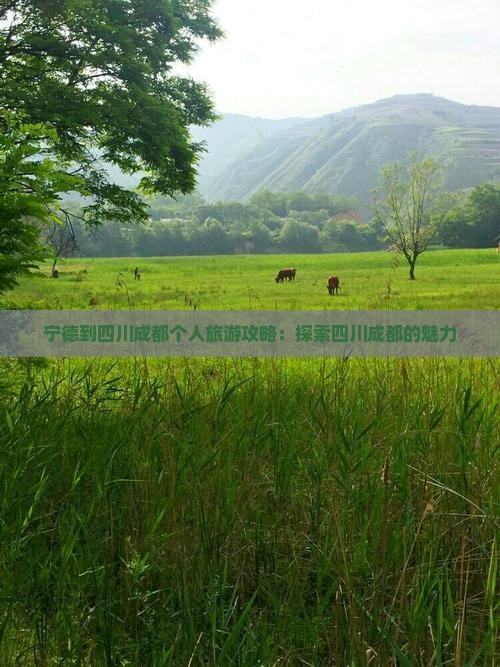 宁德到四川成都个人游