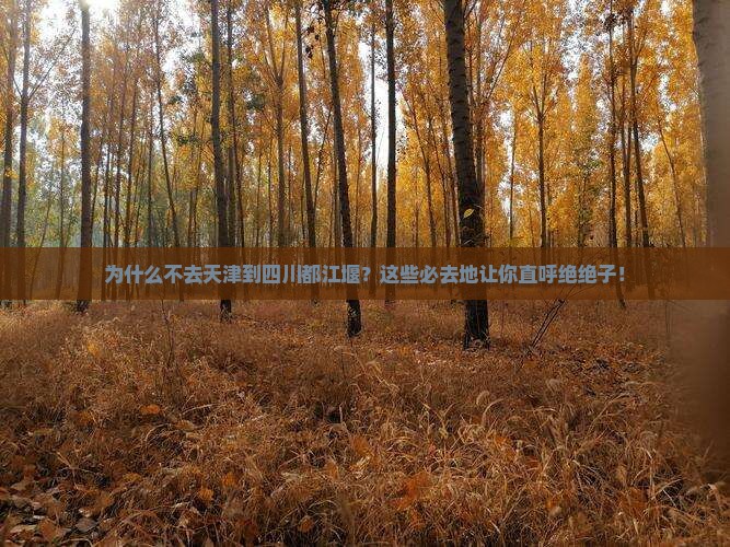天津到四川都江堰必去地