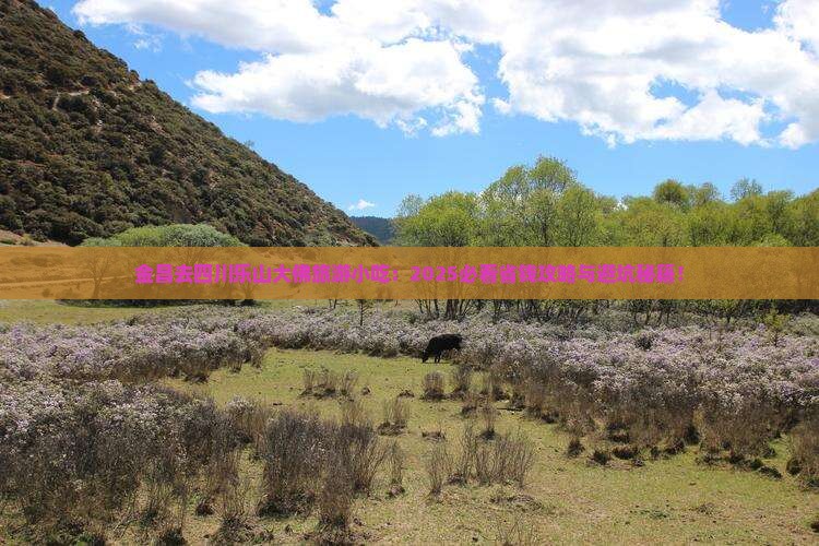 金昌去四川乐山大佛旅游小吃