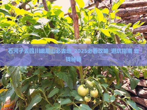 石河子去四川峨眉山必去地