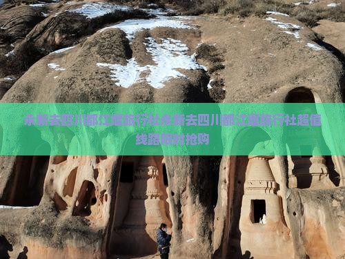 永新去四川都江堰旅行社