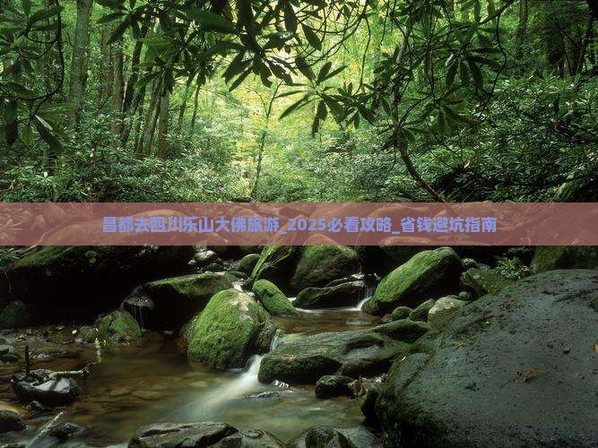 昌都去四川乐山大佛旅游