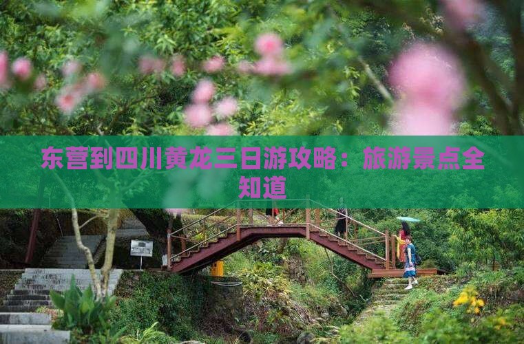 东营到四川黄龙三日游