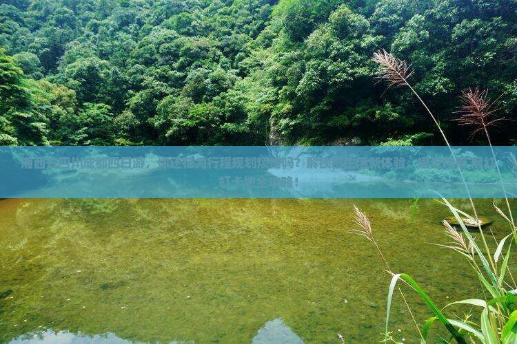 湘西去四川成都四日游