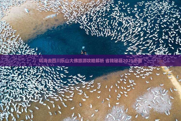 乌海市去四川乐山大佛门票