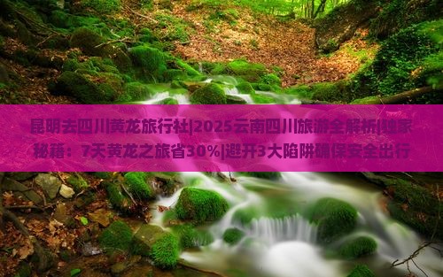 昆明去四川黄龙旅行社