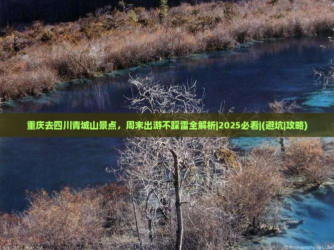 重庆去四川青城山景点 重庆去四川青城山景点