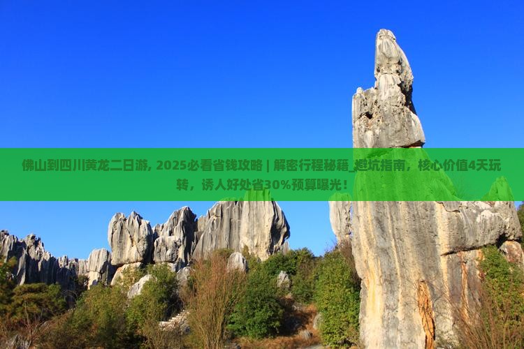 佛山到四川黄龙二日游