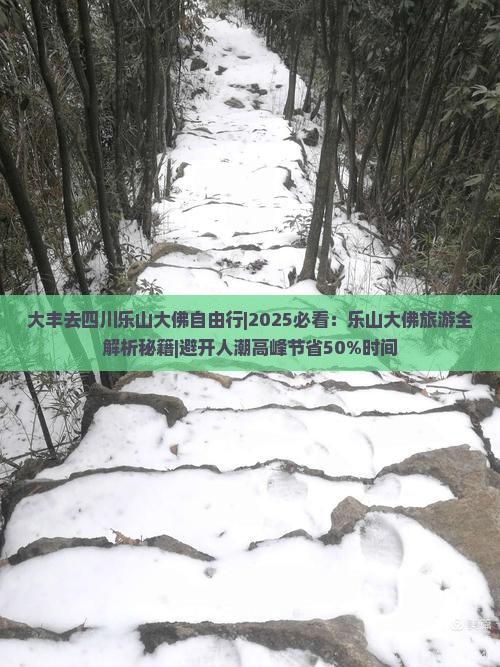 大丰去四川乐山大佛自由行