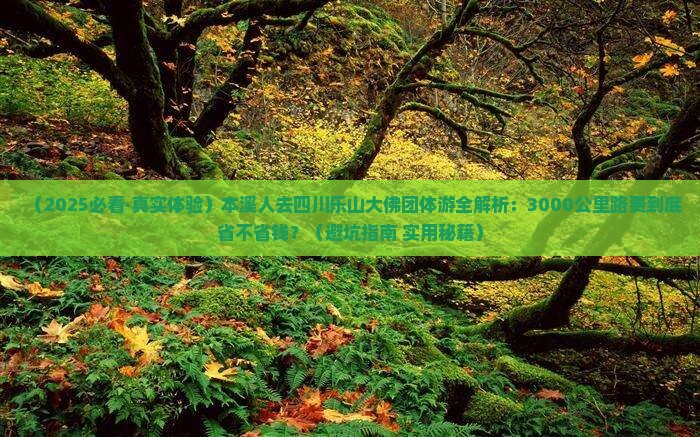 本溪去四川乐山大佛团体旅游