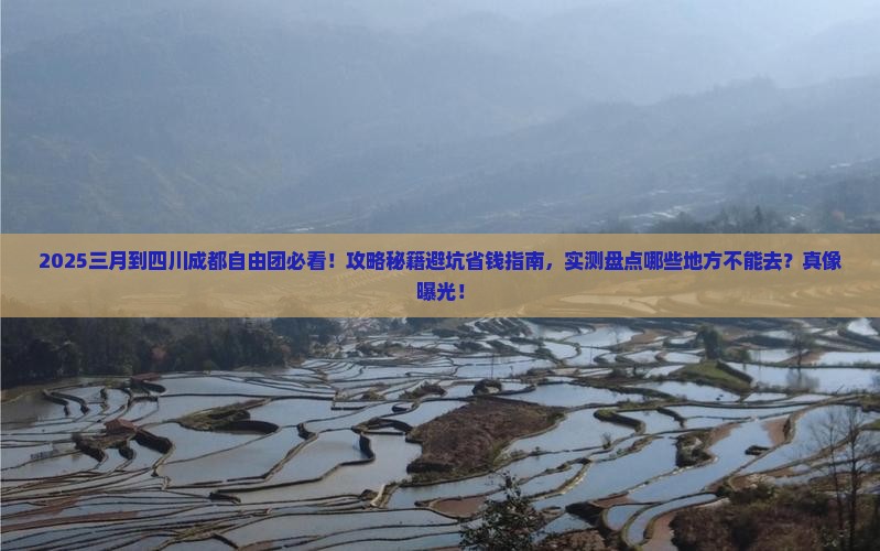 三月到四川成都自由团