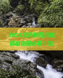 三月到四川成都自由团
