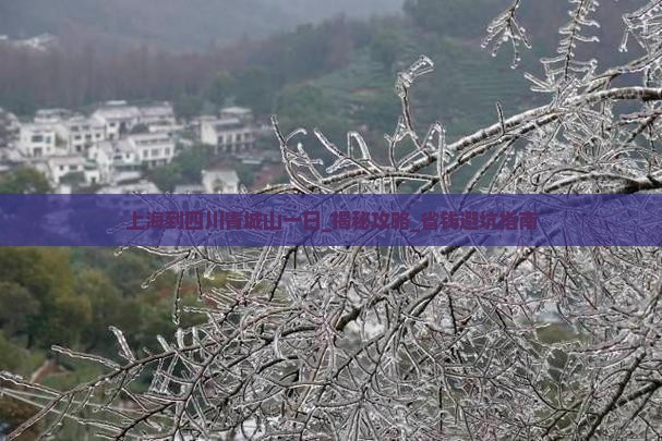 上海到四川青城山一日