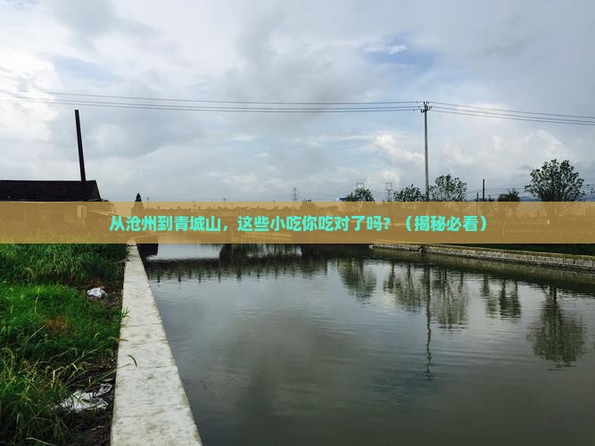 沧州到四川青城山旅游小吃