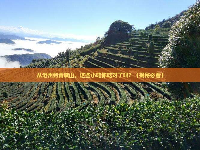 沧州到四川青城山旅游小吃
