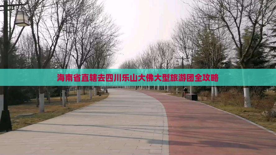 海南省直辖去四川乐山大佛大型旅游团