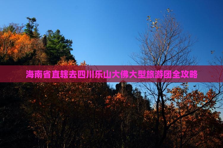 海南省直辖去四川乐山大佛大型旅游团