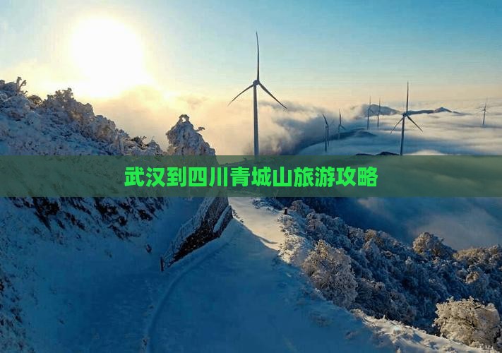 武汉到四川青城山攻略