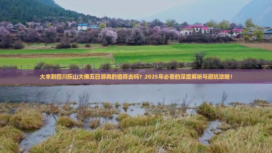 大丰到四川乐山大佛五日游