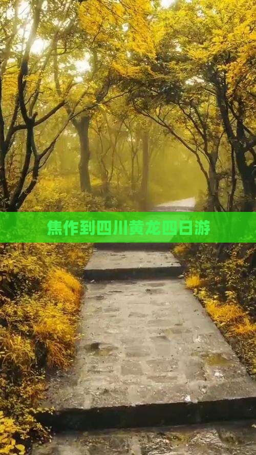 焦作到四川黄龙四日游