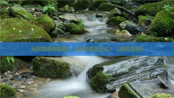 阿勒泰去四川成都七日游