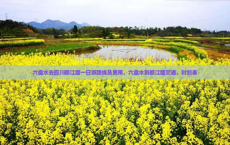 六盘水去四川都江堰一日