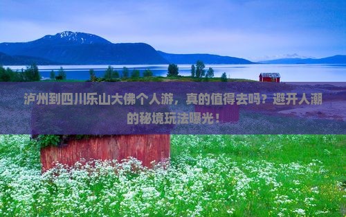 泸州到四川乐山大佛个人游