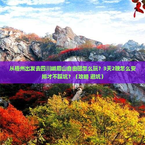 梧州去四川峨眉山自由团