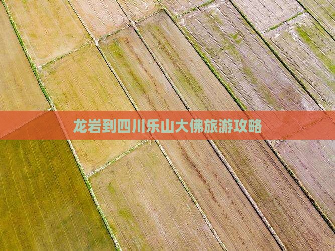 龙岩去四川乐山大佛攻略