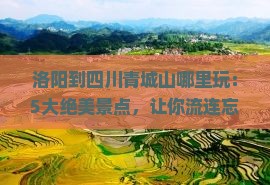 洛阳到四川青城山哪里玩