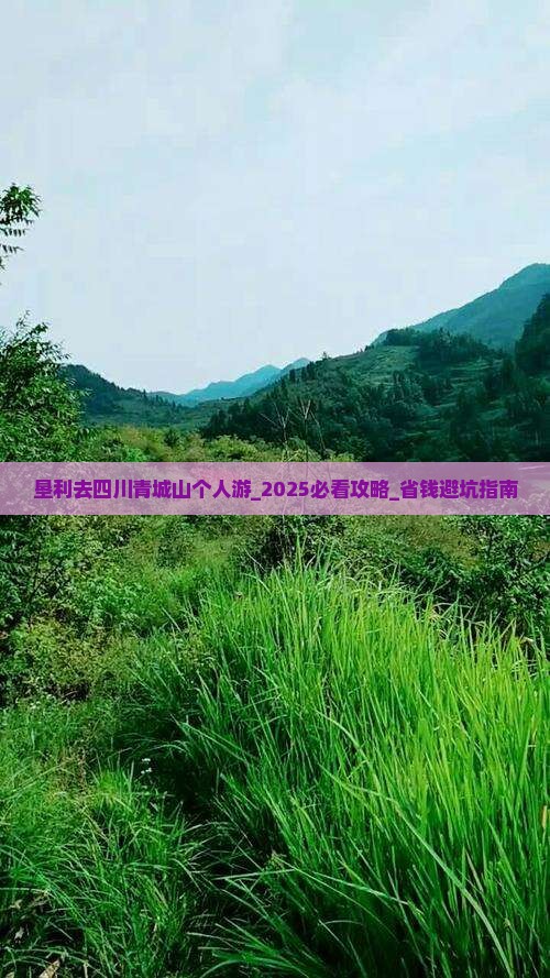 垦利去四川青城山个人游
