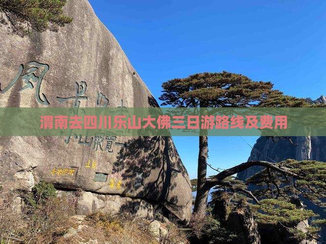 渭南去四川乐山大佛三日游 渭南去四川乐山大佛三日游