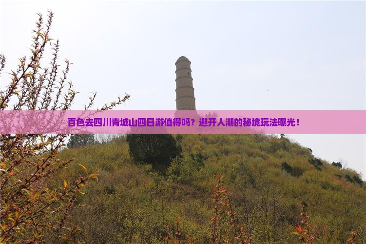 百色去四川青城山四日游