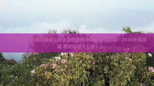鄂州到四川青城山大型旅游团